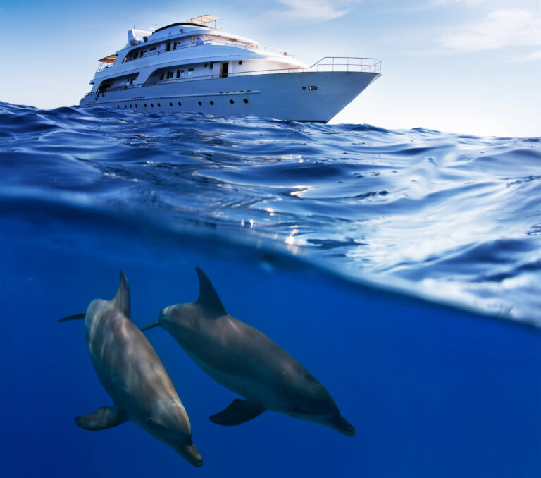 Environmental Compliance Protecting the Oceans We Love